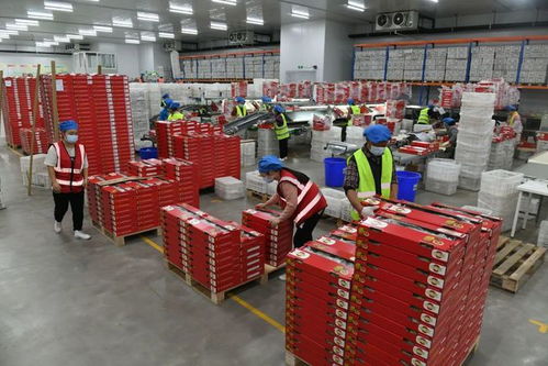 入列“国字号”的德阳农业科技园区，究竟有何制胜法宝？