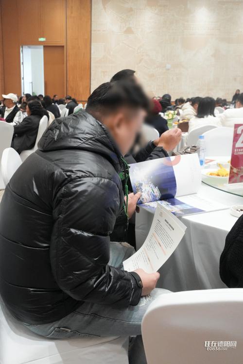力源于三大关键因素——德阳网络科技的地段、人气与创新设计